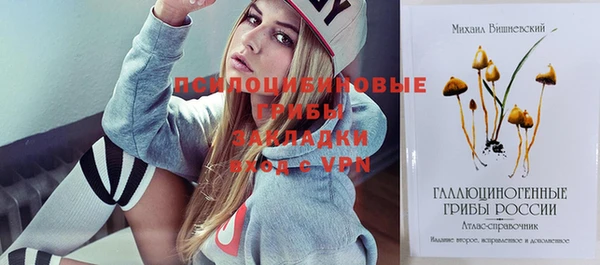 apvp Аркадак