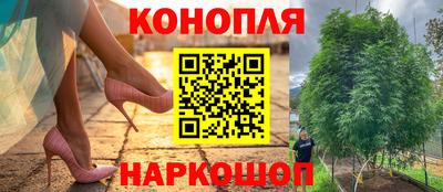 гашик Коммунар