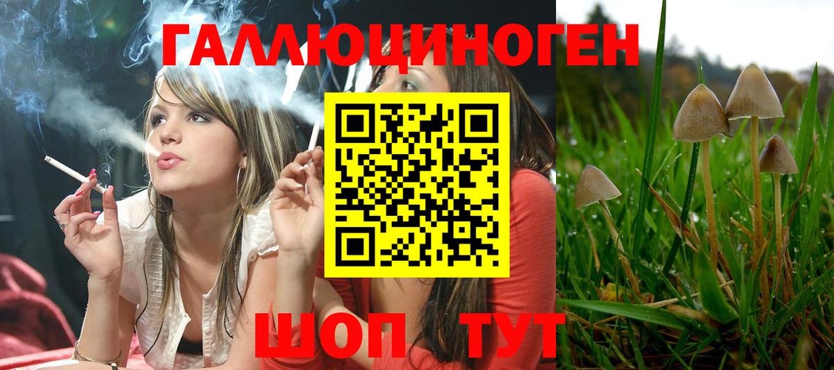 Галлюциногенные грибы мухоморы Карачаевск