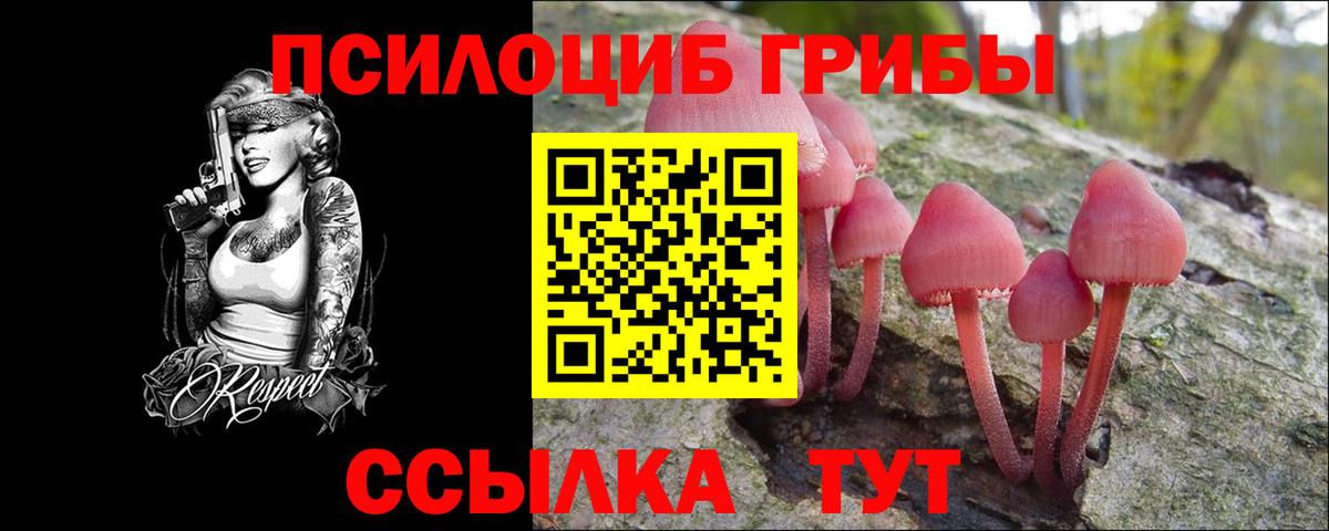 Карачаевск  где найти наркотики  Вход с VPN  Галлюциногенные грибы Psilocybe 